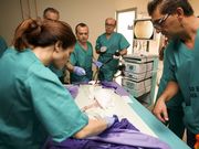 Un momento del taller de t�cnicas endosc�picas. 