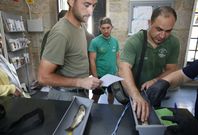 Momento de la medici�n de los ejemplares de truchas capturadas en el Concurso de Pesca. 