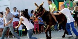 Localidades como Vila�o, en A Laracha, celebraron durante este verano carreras de burros. 
