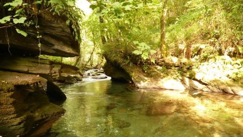 Un paraje del curso alto del Lor en el rea perteneciente a la reserva natural fluvial