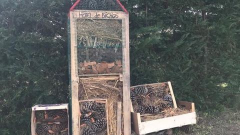 Los alumnos construyeron su propio hotel de insectos