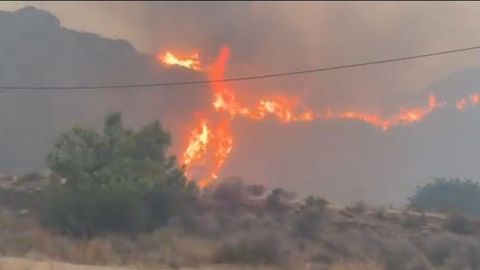 Propagaci�n el fuego en el incendio forestal de Los Gallardos.