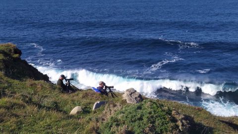 Ornitol�gicos, en una jornada de recuento del paso de aves migratorias