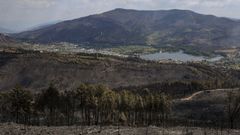 Montes quemados en A R�a