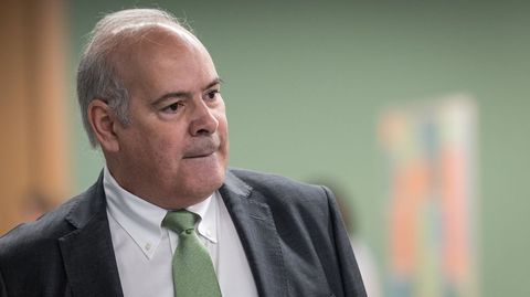 El consejero delegado de Iberdrola, Mario Ruiz-Tagle
