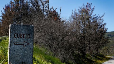 As est el monte de Barbanza un ao despus del gran incendio