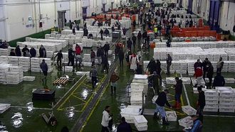 Imagen de archivo de la lonja de Vigo, l&iacute;der en Galicia con m&aacute;s de 79 millones de euros facturados y m&aacute;s de 18.916 toneladas de pescados y mariscos frescos subastados
