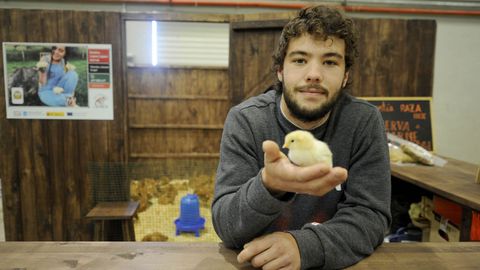 Noel, de Aeiroá, muestra un polluelo de gallina de Mos