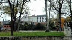 A tiros para deshacer un nido de velutinas en un parque de Monforte