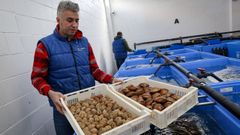 Depuradora �ngel Mar de Boiro