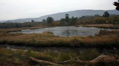 Las salinas de Paredes, en Vilaboa, uno de los espacios naturalesque figuran en el inventario de humedales de Galicia