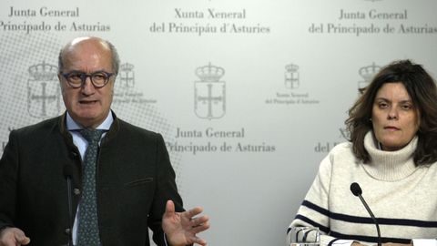 Los portavoces adjuntos del grupo del PP en la Junta General del Principado de Asturias, Luis Venta y Beatriz Polledo, durante la rueda de prensa en la que presentaron las enmiendas al proyecto de presupuestos auton�micos.