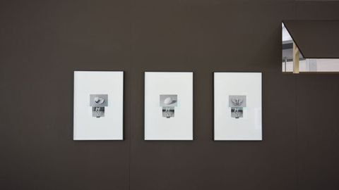 Exposici�n de Ira Lombard�a en el Museo de Pontevedra