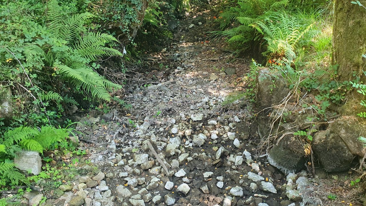 El río Gafos baja prácticamente seco a su paso por Tomeza