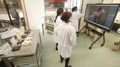 Un grupo de alumnas, trabajando en el aula de habilidades clínicas 