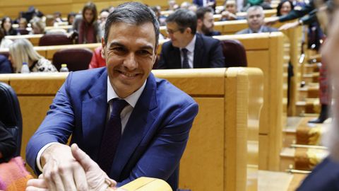 El presidente del Gobierno, Pedro Snchez, durante el pleno del Congreso, reunido de forma excepcional en el Senado, que debati la convalidacin de tres decretos del Ejecutivo.