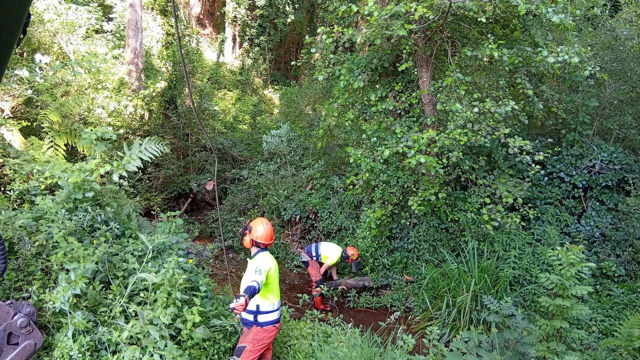 Limpieza en el río Magalofes y el arroyo Foxa de Fene para la prevención de inundaciones
