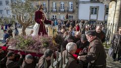 Barbanza celebra el Domingo de Ramos