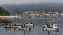 Mariscadores a flote en el banco de Tambo, en una imagen de archivo