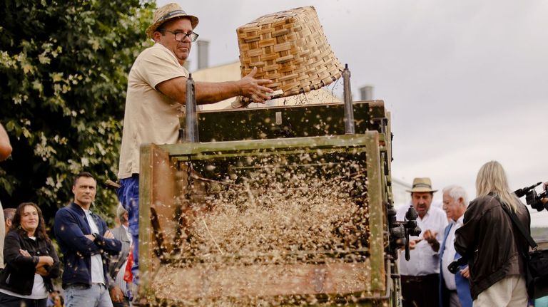 Meira reivindic&oacute; los trabajos acestrales del campo en una nueva edici&oacute;n de la Festa da Malla.