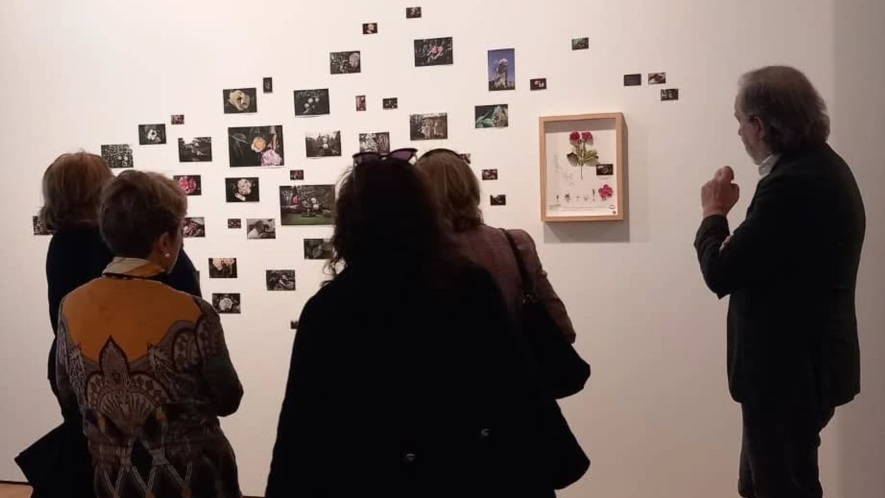 El Naturalista artificial hace parada en Pontevedra