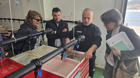 Visita de la directora xeral de Desenvolvemento Pesqueiro a la cofrad&iacute;a de Laxe