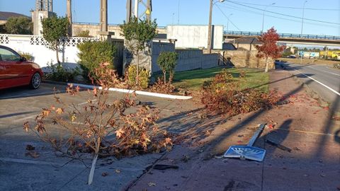 Daos causados en un rbol y en una seal de la avenida Ra de Ribadeo