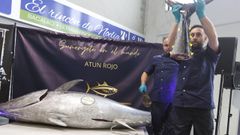 Ronqueo de at�n rojo en la plaza de abastos de Vilagarc�a