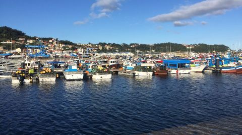 Puerto de Bueu, uno de los afectados por los nuevos cambios en el reglamento que regula la bajura