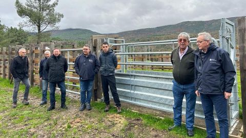 Pasto en Xunqueira de Espadanedo