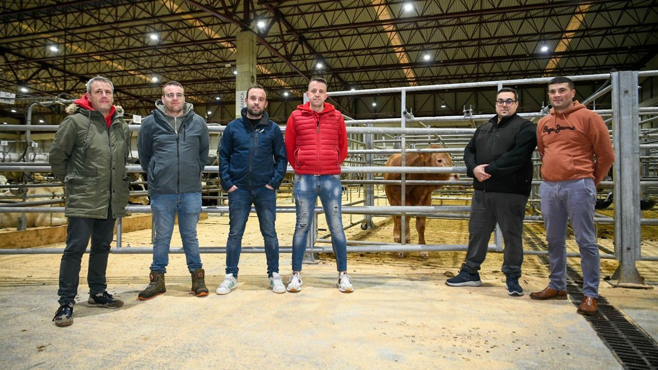 La frustrada compra de un becerro en lonja para estrenar hamburguesería