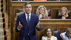 El presidente del Gobierno, Pedro Snchez, interviene durante una sesin de control al Gobierno.