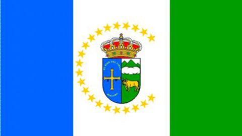 Bandera de Caso