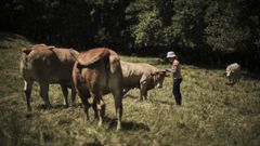 Mar�a P�ez puede localizar a sus vacas gracias a los collares con GPS