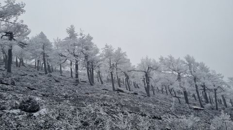Primera nevada de la temporada en la estacin de esqu de Manzaneda.