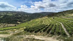 Dos d�as en la ruta del vino de Valdeorras