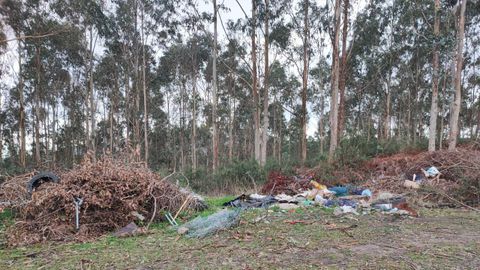 El vertedero con restos de poda, ruedas de coches y otros residuos fue localizado en el Monte Vilar, en Burela