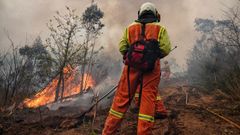 Trabajos de extinci�n en los incendios de Tineo y Vald�s
