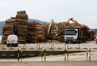 En la fotograf�a, de archivo, vista de madera apilada en el muelle para ser embarcada.