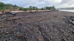Playas desoladas por el temporal en la r�a de Pontevedra