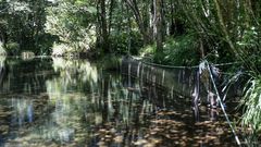 Captaci�n del rio Coro�o, Boiro