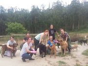 Grupo de voluntarios con los perros de Terrac�n. 