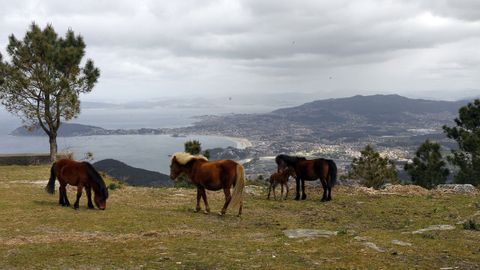 Serra da Groba