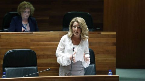 La portavoz del PP, Teresa Mallada, durante el pleno