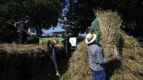 Castro de Rei celebra la ltima jornada de la Festa da Malla