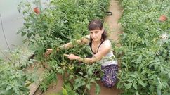 Bego�a Pena estuvo adelantando toda la cosecha de productos de verano