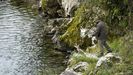 Pescador en el Puente Romano de Cangas de On�s. Cientos de pescadores tratar�n de hacerse este domingo con el preciado 'campanu',