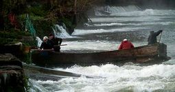 Nas pesqueiras de As Vellas, os pescadores empregan unha barca para botar e levantar as redes nos boquetes do r�o Ulla.
