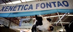 Xen�tica Fontao, participada al 80 % por la Xunta, es una empresa puntera en el �mbito de la gen�tica ganadera.