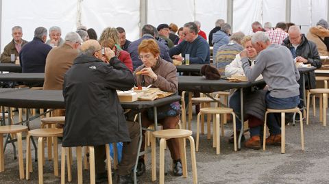 Festa da Lamprea de Pontecesures